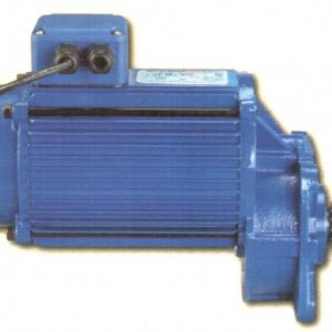 Motor giảm tốc Đài Loan HM