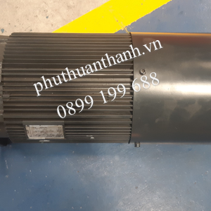Motor nâng hạ 20 tấn - Stahl