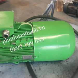 Motor nâng hạ 30 tấn - Stahl